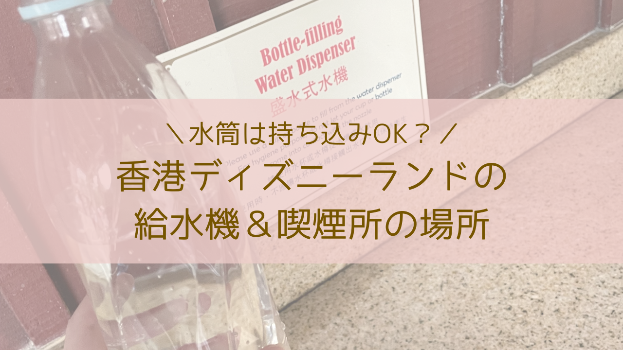 安い ディズニーランド 水筒 持ち込み